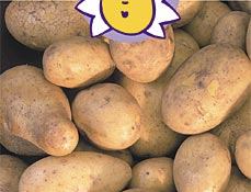 Kartoffelprinzessin